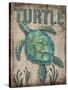 Turtle-Todd Williams-Stretched Canvas