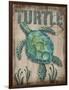 Turtle-Todd Williams-Framed Premium Giclee Print