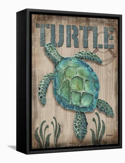 Turtle-Todd Williams-Framed Stretched Canvas