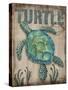 Turtle-Todd Williams-Stretched Canvas