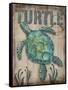 Turtle-Todd Williams-Framed Stretched Canvas