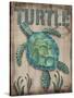 Turtle-Todd Williams-Stretched Canvas