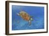 Turtle-Michael Jackson-Framed Giclee Print