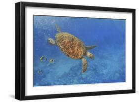 Turtle-Michael Jackson-Framed Giclee Print