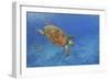 Turtle-Michael Jackson-Framed Giclee Print