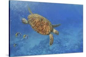 Turtle-Michael Jackson-Stretched Canvas