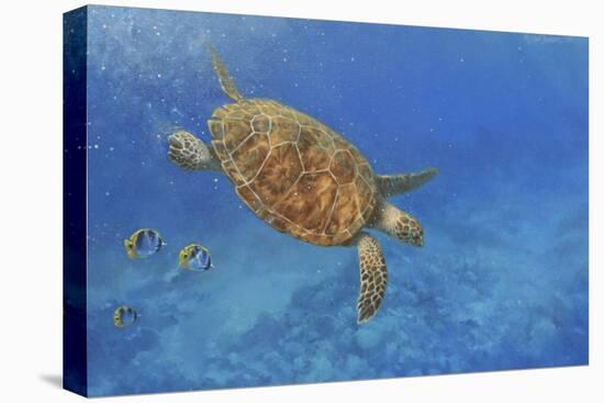 Turtle-Michael Jackson-Stretched Canvas