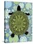 Turtle-Teofilo Olivieri-Stretched Canvas