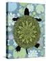 Turtle-Teofilo Olivieri-Stretched Canvas