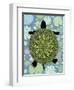 Turtle-Teofilo Olivieri-Framed Giclee Print