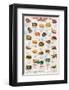 Turtles and Tortoises-null-Framed Art Print