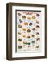 Turtles and Tortoises-null-Framed Art Print