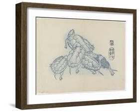 Turtles, C. 1830-Hogyoku-Framed Giclee Print