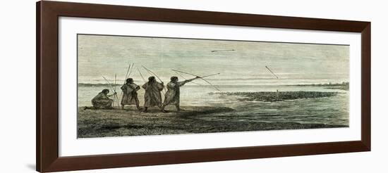 Turtles Hunt 1869 Peru-null-Framed Giclee Print