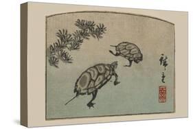 Turtles (Kame)-Ando Hiroshige-Stretched Canvas