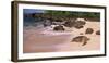 Turtles on the Beach, Oahu, Hawaii, USA-null-Framed Premium Photographic Print