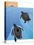 Turtles-Marie Sansone-Stretched Canvas