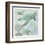 Turtles-Sheldon Lewis-Framed Art Print