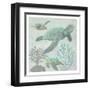 Turtles-Sheldon Lewis-Framed Art Print