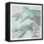 Turtles-Sheldon Lewis-Framed Stretched Canvas