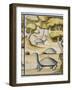 Turtles-null-Framed Giclee Print