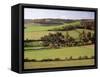 Turville, Chilterns, Buckinghamshire, England, United Kingdom-G Richardson-Framed Stretched Canvas