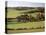 Turville, Chilterns, Buckinghamshire, England, United Kingdom-G Richardson-Stretched Canvas