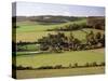 Turville, Chilterns, Buckinghamshire, England, United Kingdom-G Richardson-Stretched Canvas