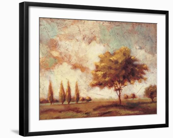 Tuscan Afternoon I-P^ Patrick-Framed Art Print