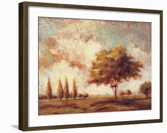 Tuscan Afternoon I-P^ Patrick-Framed Art Print