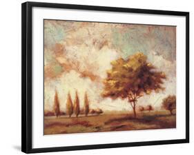 Tuscan Afternoon I-P^ Patrick-Framed Art Print