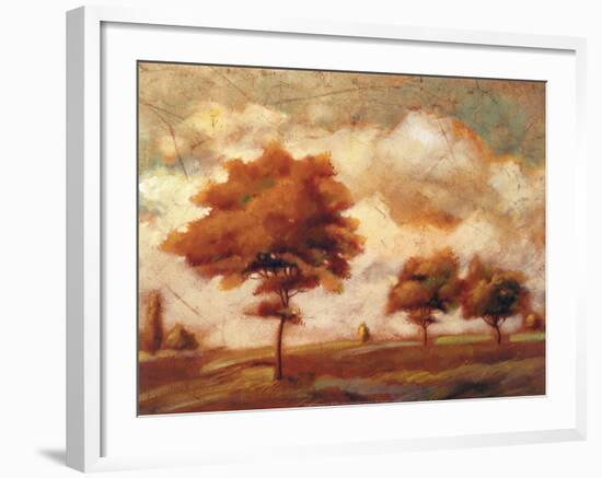 Tuscan Afternoon II-P^ Patrick-Framed Art Print