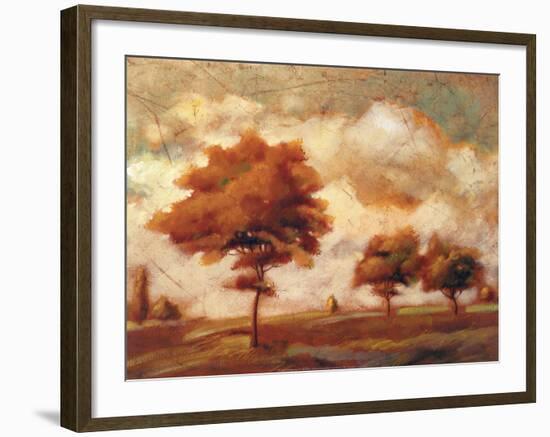 Tuscan Afternoon II-P^ Patrick-Framed Art Print