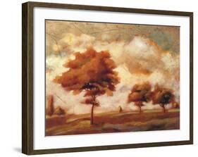 Tuscan Afternoon II-P^ Patrick-Framed Art Print