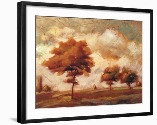 Tuscan Afternoon II-P^ Patrick-Framed Art Print