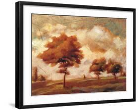 Tuscan Afternoon II-P^ Patrick-Framed Art Print