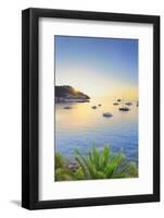 Tuscan Archipelago National Park, Elba Island, Porto Azzurro, Tuscany, Italy-Francesco Iacobelli-Framed Photographic Print