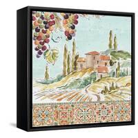 Tuscan Breeze III-Daphne Brissonnet-Framed Stretched Canvas