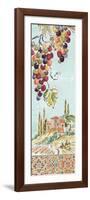 Tuscan Breeze IV-Daphne Brissonnet-Framed Art Print