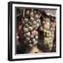 Tuscan Caffe #3-Alan Blaustein-Framed Photographic Print