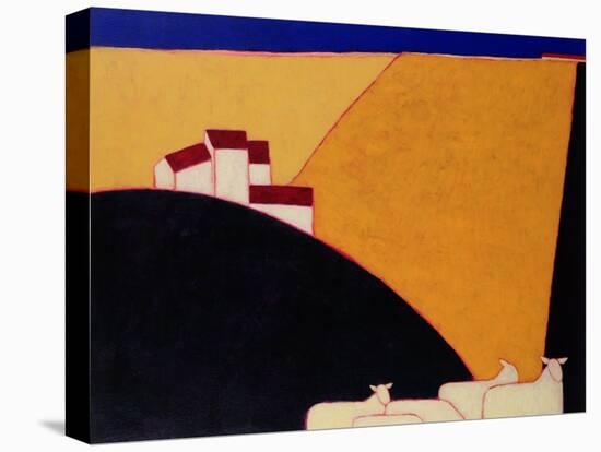 Tuscan Campagna, 1999-Eithne Donne-Stretched Canvas