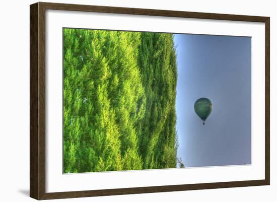 Tuscan Cedar and Balloon-Robert Goldwitz-Framed Photographic Print