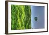 Tuscan Cedar and Balloon-Robert Goldwitz-Framed Photographic Print