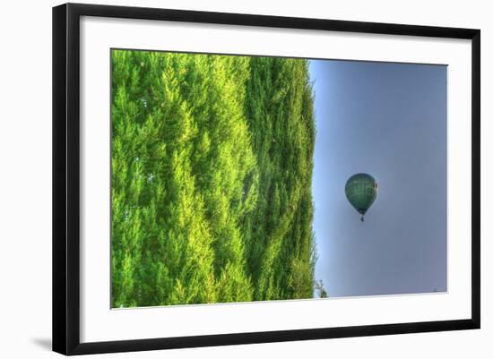 Tuscan Cedar and Balloon-Robert Goldwitz-Framed Photographic Print