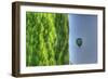 Tuscan Cedar and Balloon-Robert Goldwitz-Framed Photographic Print