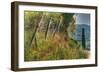Tuscan Cedar and Fence-Robert Goldwitz-Framed Photographic Print