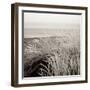 Tuscan Coast Dunes #2-Alan Blaustein-Framed Photographic Print