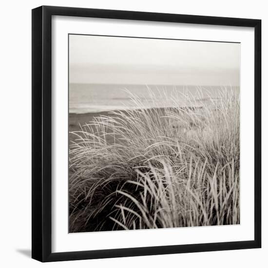 Tuscan Coast Dunes #2-Alan Blaustein-Framed Photographic Print