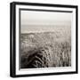 Tuscan Coast Dunes #2-Alan Blaustein-Framed Photographic Print