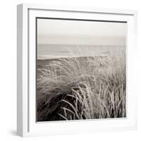 Tuscan Coast Dunes #2-Alan Blaustein-Framed Photographic Print